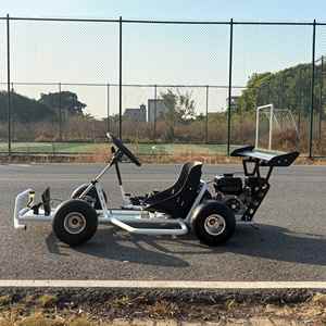 Buggy Monoposto a Gasolina de 200cc con Freno de Mano Delantero, Go Kart de Drift a Buen Precio - Product Image 1
