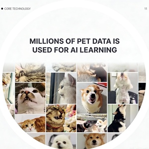 เพ็ตติแชท เครื่องแปล<span class=keywords><strong>ภาษา</strong></span>สัตว์เลี้ยงด้วย AI <span class=keywords><strong>พ</strong></span>ร้อมระบบเรียนรู้<span class=keywords><strong>ภาษา</strong></span>สัตว์ด้วยตัวเอง กันน้ำระดับ IP65 เชื่อมต่อบลูทูธ 4G ติดตามสัตว์เลี้ยง แบตเตอรี่ใช้งานได้นานกว่า 20 ชั่วโมง - Product Image 2