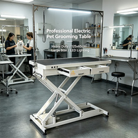 Table de toilettage électrique pour animaux de compagnie EUR PET avec lumière LED, table multifonctionnelle pour salon de toilettage