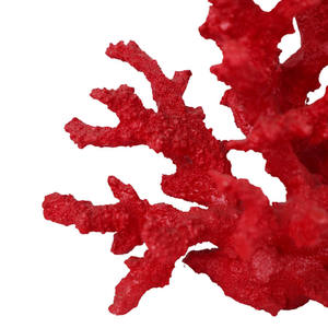 热销人工红珊瑚大尺寸渐变颜色 - Product Image 5