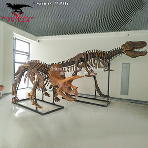 T-rex y Triceratops dinosaurio <span class=keywords><strong>esqueleto</strong></span> réplica fósil - Product Image 4