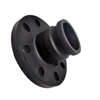 Accouplement à came AL SS304 SS316 FD ANSI150lbs bride d'accouplement femelle pour arroseur