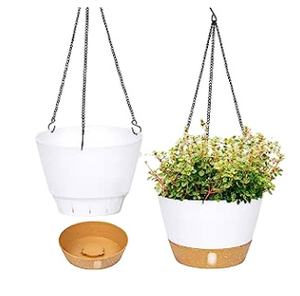 Macetas de plástico de 13x20cm para criar plantas, flores, macetas suaves termoformadas para vivero - Product Image 3