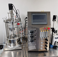 Fermenteur de culture cellulaire pour mammifères, bioréacteur à lit fixe en laboratoire, cellules immobilisées, contrôle PLC, pompe à moteur, capacité 20L, BLBIO-GJC