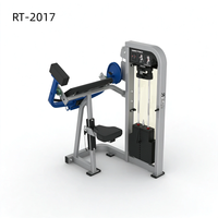 Machine d'extension dorsale commerciale STELLARWAY avec cadre robuste et pile de poids sélectionnable – Usine OEM/ODM