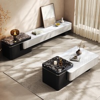 Ensemble Table Basse et Meuble TV en Pierre Technologique Luxe Léger, Style Moderne Rétractable pour Petits Salons, Nouveau Modèle 2026
