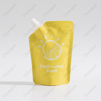 Sacs d'emballage de savon liquide en plastique biodégradable de 500ml 1L 2L imprimés sur mesure pochette à bec debout avec buse