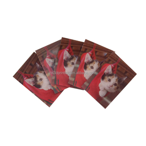 Pegatina Lenticular 3D Impermeable con Diseño Animado Impreso con UV - Product Image 3
