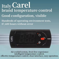 Réfrigérateur vertical grande capacité BINGEEDIY en acier inoxydable, congélateur commercial pour la conservation de la viande et des aliments