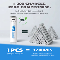 بطاريتان قابلتان للشحن عبر USB من نوع C18650 من CITICITY، بطاريات ليثيوم نيكل مونغنيك كربون أكسيد 7400 مللي واط ساعة، 3.7 فولت، أكثر من 1200 دورة شحن، مناسبة للألعاب