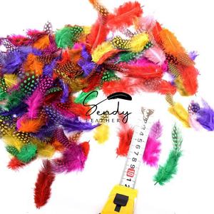 Plumas <span class=keywords><strong>de</strong></span> <span class=keywords><strong>Gallina</strong></span> <span class=keywords><strong>de</strong></span> <span class=keywords><strong>Guinea</strong></span> Pequeñas Teñidas <span class=keywords><strong>de</strong></span> 1-3 Pulgadas, Coloridas, Personalizadas, <span class=keywords><strong>de</strong></span> Excelente Calidad y <span class=keywords><strong>Precio</strong></span> Razonable, <span class=keywords><strong>de</strong></span> Fábrica Líder en Plumas, en Venta - Product Image 2