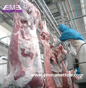 Best Selling Advanced Islamic <strong>Sheep</strong> / Cattle Slaughtering <strong>Machine</strong> Cow Slaughterhouse Mobile Abattoir Equipment With Cheap Price - Product Image 4