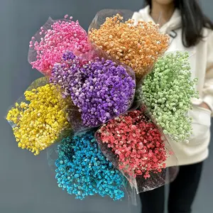 floral boho Wedding Decorations white Dried Baby Breath decore Flower Natural pink Gypsophila dry flower bouquet plants for sale