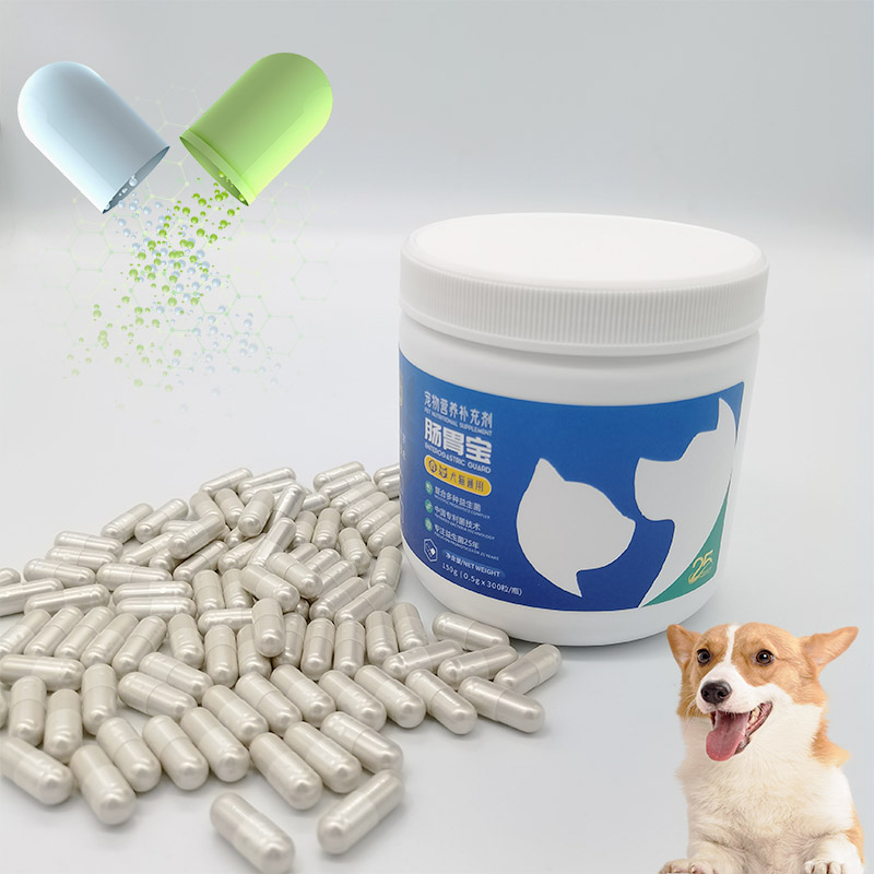 Private Label Support Formula Capsule Tablet Powder Gut Health Dog Diarrhea Medication Puppy Probiotic for Dogs