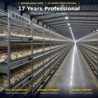 Système de cages automatiques de type H pour poulets de chair en élevage avicole avec équipement d'évacuation du fumier pour l'élevage à haute densité Huabang