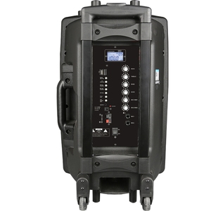 نظام مضخم صوت لاسلكي مع مكبر صوت متحرك لغناء الكاريوكي - Product Image 1