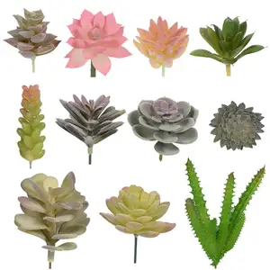 DREA חם מכירות צמחים בשרניים סיטונאי צמחים מלאכותיים עסיסי עבור בית תפאורה פו עסיסי