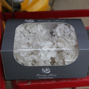 Ogni amore all'ingrosso foglia tenera conservato fiore secco grande ortensia rossa per la decorazione di nozze decorazioni per la casa - Product Image 6