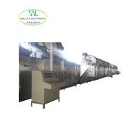 Aangepaste continue enkellaags PLC-gestuurde gemotoriseerde banddroger van roestvrij staal 304 met een capaciteit van 500 kg/uur voor knoflook en ui