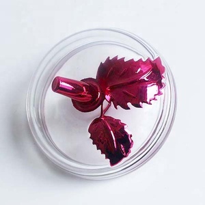 LANGXU 400ml grand pot de bonbons transparent en forme de pomme personnalisé avec couvercle en verre pour le stockage des bonbons - Product Image 2