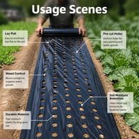 Film de paillage en plastique PP PE noir 0,95x10m, barrière anti-mauvaises herbes pour jardin, couverture de sol, résistant aux UV, pour la plantation de légumes, contrôle des mauvaises herbes