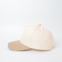Casquette de baseball ajustable en coton 100% à 5 panneaux, style streetwear hip-hop, avec logo brodé, pour hommes et femmes, vente en gros