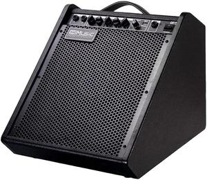 Professional <b>10</b>-<b>Inch</b> Woofer 100W for Electric Drum Amplifier 3-Band EQ for 2 Audio Inputs 2.0 Channel Metal Construction - Product Image 1