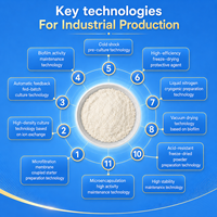 Ingredientes de Suplementos Dietéticos, Mezcla de Probióticos y Enzimas en Polvo, Lactobacillus Plantarum CCFM1143 con Cuajo Microbiano a Granel