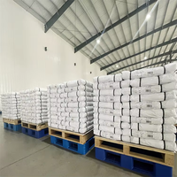 Toile blanche Matériau de construction ignifuge Bâche enduite de PVC Protection UV Bâches laminées Couverture de toit Tissu d'auvent imperméable