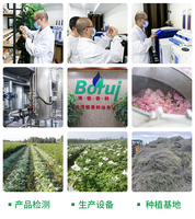 Huiles de support en vrac à marque privée personnalisée, biologiques et pures : Avocat, Jojoba, Noix de coco, Carotte, Rose musquée, Vitamine E pour le corps, le visage, la peau et les cheveux