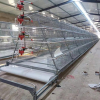 Équipement avicole pour ferme avicole : Cage à poules pondeuses à 3/4 niveaux, alimentation automatique, résistante à la corrosion, galvanisée à chaud