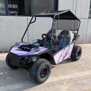 Venta del fabricante Go Kart Cart Off Road Beach Dune Buggy Cross Go Karts Depósito Transporte especial Mini Jeep - Product Image 6