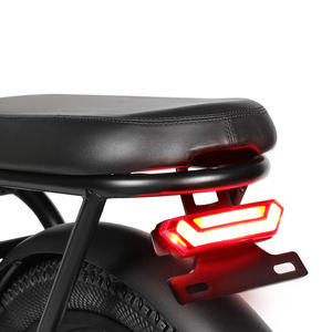 USA 20 plegable City Ebike 36V Motor trasero 250W 350D Ebike 36V 13Ah Importación Batería de litio Paso a través de la bicicleta eléctrica - Product Image 3