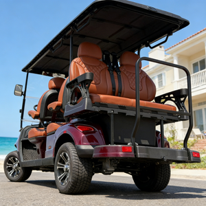 Voiturette de <span class=keywords><strong>golf</strong></span> électrique avec une autonomie de 90 à 120 km et une charge rapide en 6 à 7 heures - Product Image 6