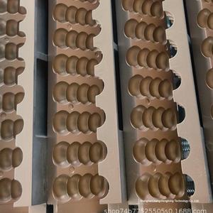 Neue Edelstahl-Produktionslinie für Kandierte Weißdornbeeren JW-47 - Product Image 4