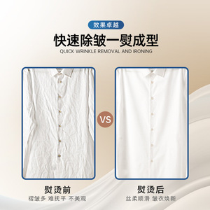 Handheld Garment <b>Steamer</b> 1000W 140C Steam Sterilization Home Use - Product Image 4