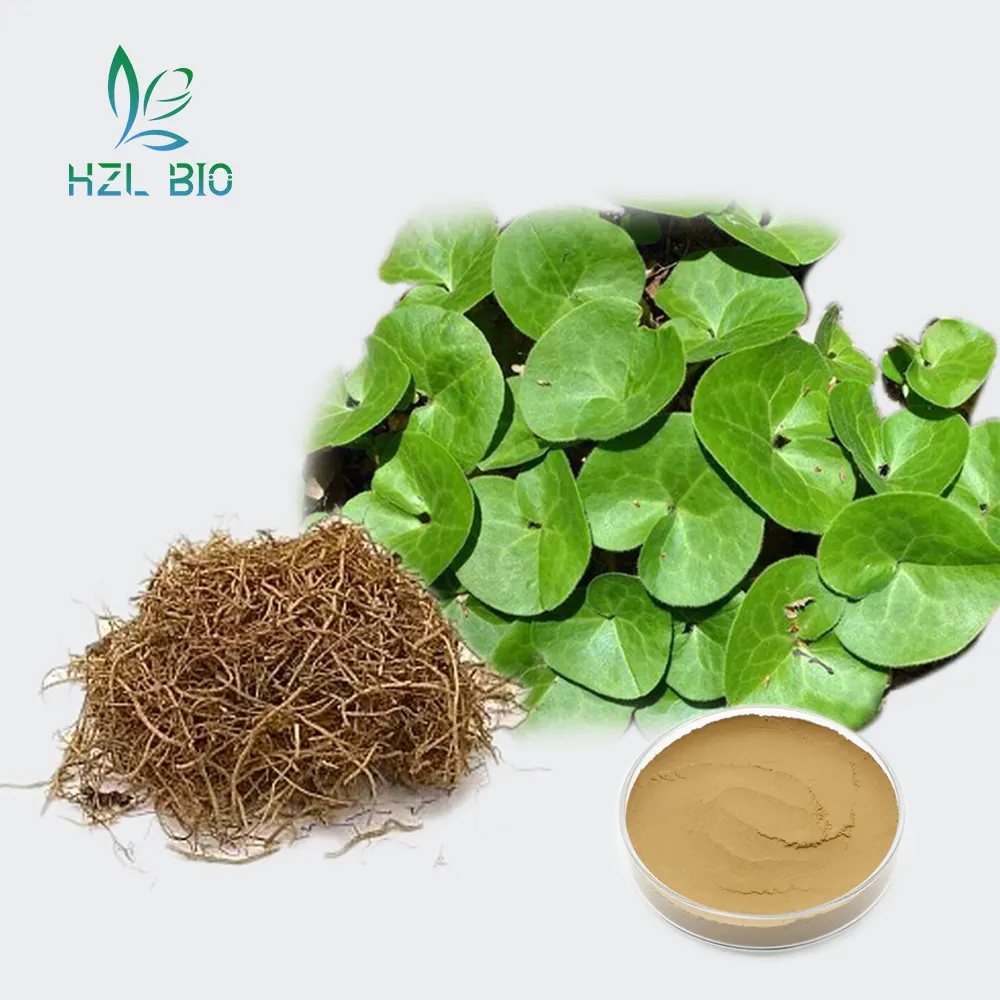 Good Quality Asarum Extract Powder Natural Healthy Asarum Root Extract Powder