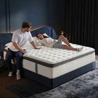 Promotion des ventes : Matelas à ressorts ensachés en latex naturel, nouveau design, avec feuille de mousse de latex, fabriqué à la machine, pour mobilier de lit, en latex érotique