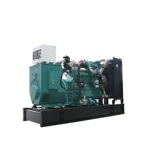 Hot Seller 100 Kw Pollution-Free Straw Gas Biomass Electricity Generator with Biomass