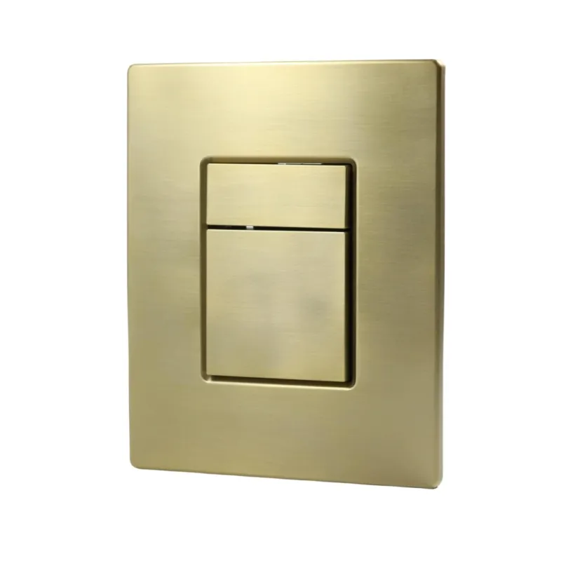 Hidden Water Tank Push Button Panel Concealed Cistern Brushed Matt Gold Dual Flush Plate