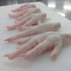 Patas de Pollo Congeladas Directamente de Fábrica, Grado A, Proceso BQF, 24 Meses de Vida Útil, Alta Calidad, Empaque a Granel, Listas para Exportación - Product Image 4