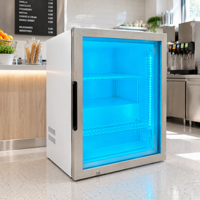 Mini congélateur de comptoir à basse température, conçu pour le stockage de la crème glacée, température de fonctionnement : -18°C ℃