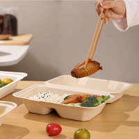 Vaisselle jetable compostable, boîte à lunch à clapet 2 compartiments en bagasse de canne à sucre, kits de fournitures de fête biodégradables