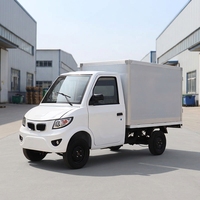 Camionnette fermée à basse vitesse avec caisse de chargement, mini-camion électrique de fret, 2 places, véhicule utilitaire électrique à énergie nouvelle