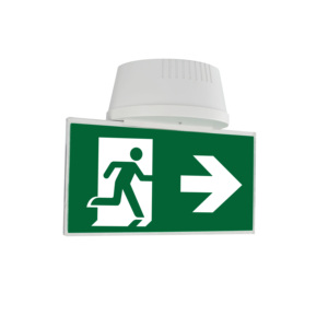 Được thực hiện bởi <span class=keywords><strong>howtim</strong></span> giá cả cạnh tranh 3W LED lõm Gắn Đèn Downlight khẩn cấp với lối ra dấu hiệu chiếu sáng - Product Image 5