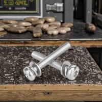 Tornillo combinado de cabeza alomada de acero inoxidable 304, métrico GB2672, rosca gruesa M4 M5 M6 M8