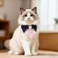 Collier Faux Nœud Papillon Personnalisé Écologique en Coton-Polyester à Carreaux Bleus et Blancs pour Petits Chiens – Vente en Gros