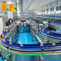 ENAK Fabriek Directe Productielijn voor Ingeblikte Sinaasappels, Mandarijnen, Gele Perziken en Ananas voor Fruitconservenverwerkingsbedrijven
