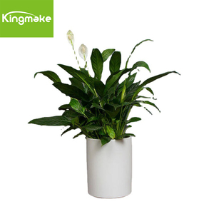 Grand pot <span class=keywords><strong>de</strong></span> <span class=keywords><strong>fleurs</strong></span> <span class=keywords><strong>rectangulaire</strong></span> <span class=keywords><strong>en</strong></span> <span class=keywords><strong>fibre</strong></span> <span class=keywords><strong>de</strong></span> <span class=keywords><strong>verre</strong></span>, jardinière d'extérieur <span class=keywords><strong>en</strong></span> <span class=keywords><strong>fibre</strong></span> d'argile et ciment, pots <span class=keywords><strong>de</strong></span> <span class=keywords><strong>fleurs</strong></span> et jardinières - Product Image 3