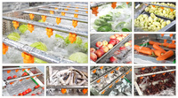 Industriële fruit- en groentewasmachine, wassingapparatuur voor wortelen, uien en paprika's, wortelen- en komkommerwasser